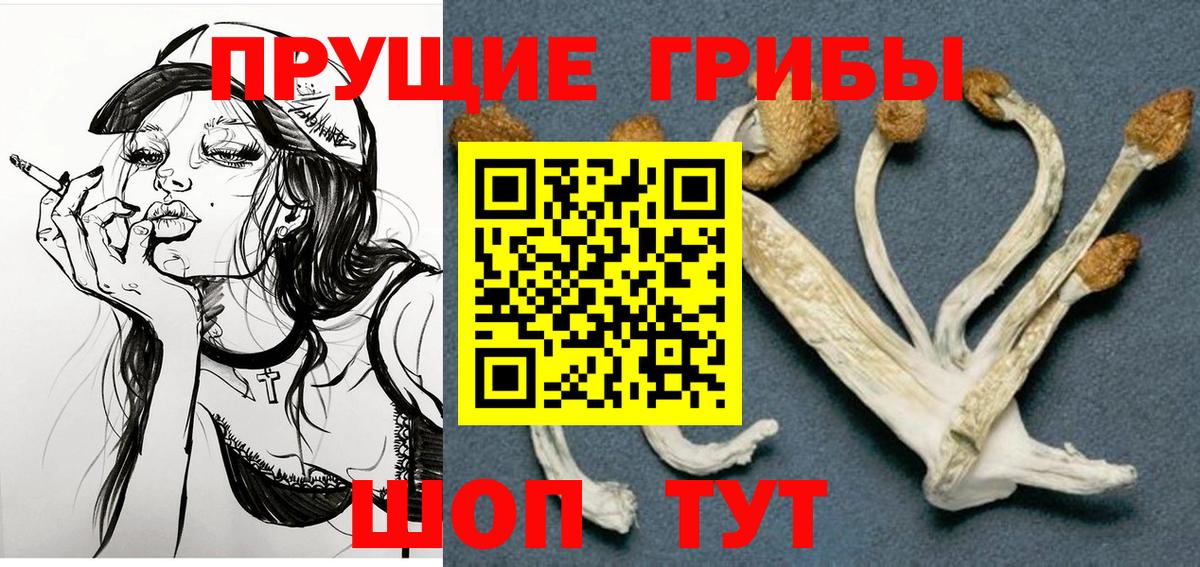 Галлюциногенные грибы Psilocybe Лесозаводск
