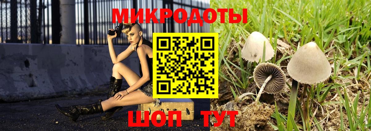 Лесозаводск  Галлюциногенные грибы прущие грибы  Вход с VPN 